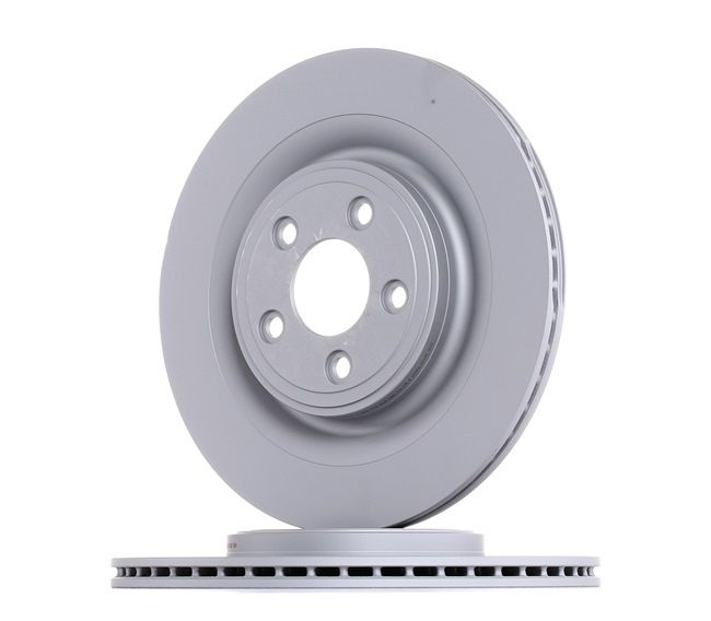 Pagid Brake disc rr
